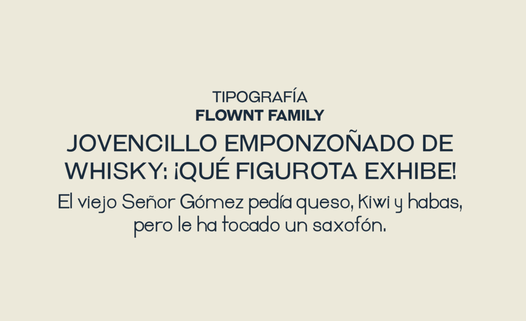 zoomo estudio tipografia flow
