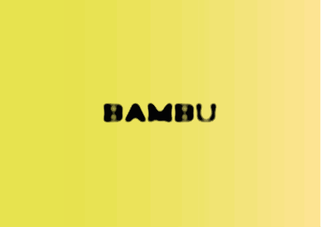 zoomo estudio branding bambu