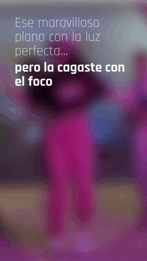zoomo estudio diseño bambu