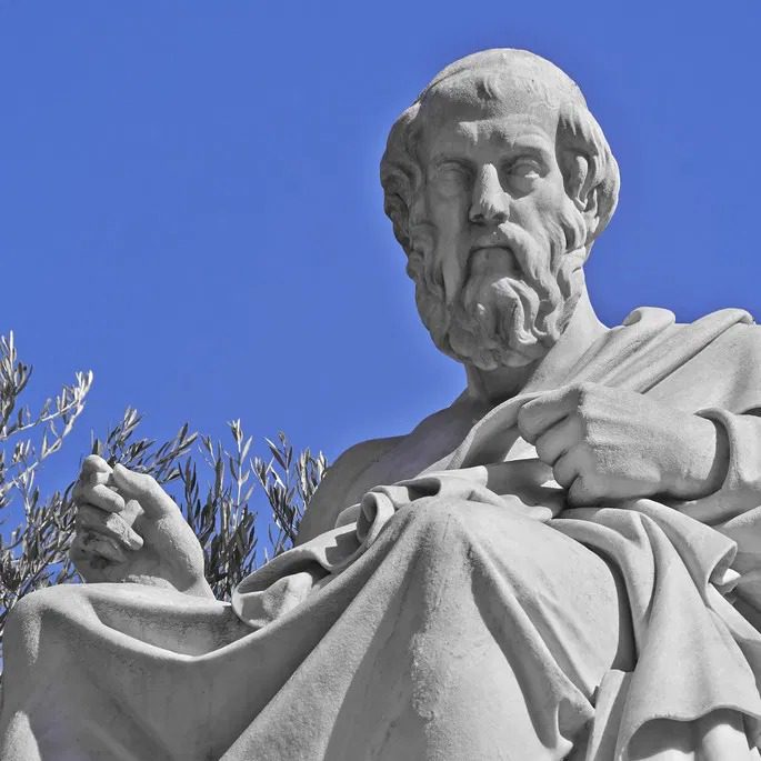 zoomo estudio platon